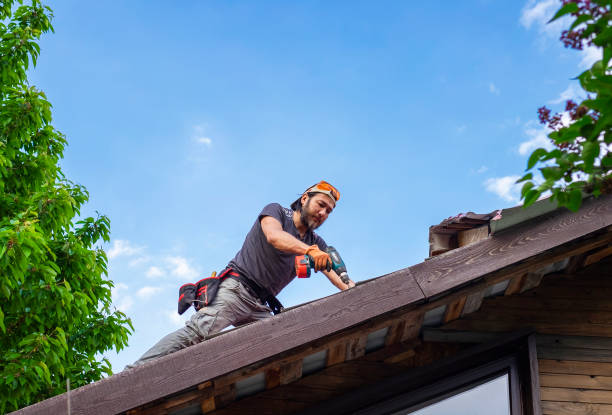 Roof Restoration in Punta Gorda, FL